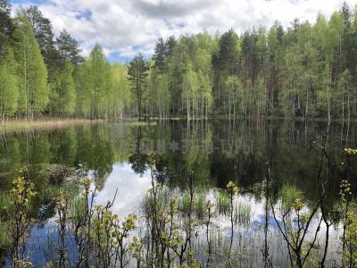 Чёрное озеро (Як-Бодьинский район) ( Удмуртская Республика  )