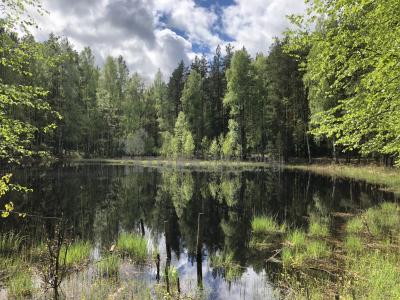 Чёрное озеро (Як-Бодьинский район) ( Удмуртская Республика  )