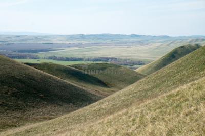 Долгие горы ( Оренбургская область  )