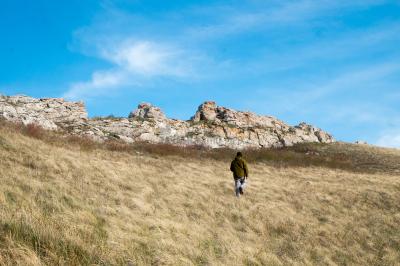 Долгие горы ( Оренбургская область  )