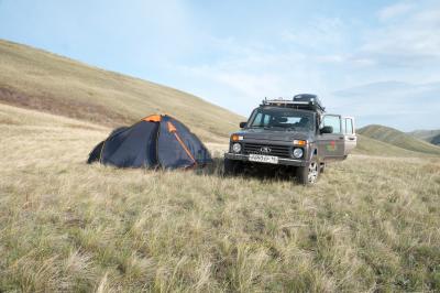 Долгие горы ( Оренбургская область  )