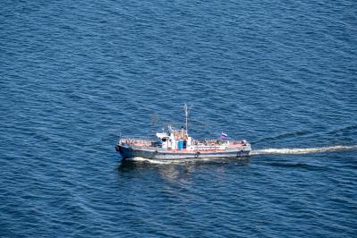 Гора Верблюд ( Самарская область  )