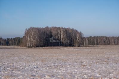 300летняя Липа у Киби-Жикьи (Башмур) ( Удмуртская Республика  )