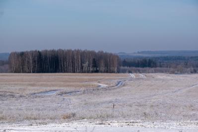 300летняя Липа у Киби-Жикьи (Башмур) ( Удмуртская Республика  )