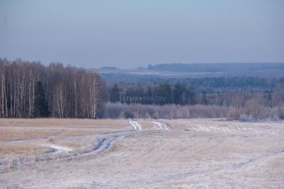 300летняя Липа у Киби-Жикьи (Башмур) ( Удмуртская Республика  )
