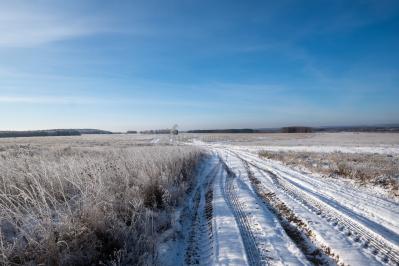 300летняя Липа у Киби-Жикьи (Башмур) ( Удмуртская Республика  )