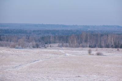 300летняя Липа у Киби-Жикьи (Башмур) ( Удмуртская Республика  )