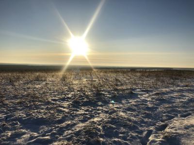 Эрестемский мыс (Увинский район) ( Удмуртская Республика  )