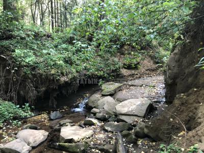 Люллинская Жемчужина ( Удмуртская Республика  )