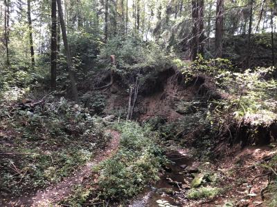 Люллинская Жемчужина ( Удмуртская Республика  )