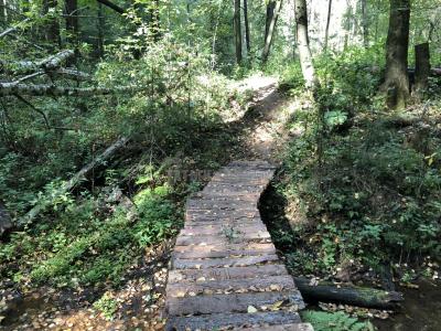 Люллинская Жемчужина ( Удмуртская Республика  )