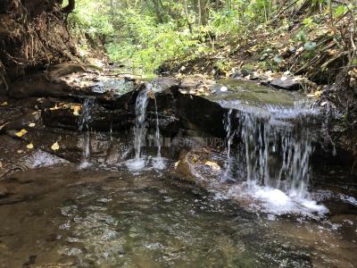 Люллинская Жемчужина ( Удмуртская Республика  )