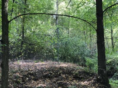 Люллинская Жемчужина ( Удмуртская Республика  )