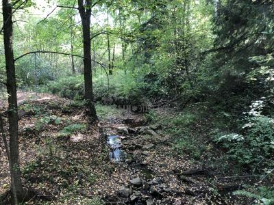 Люллинская Жемчужина ( Удмуртская Республика  )