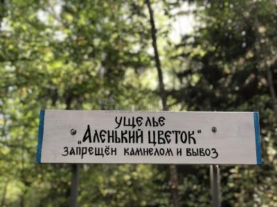 Люллинская Жемчужина ( Удмуртская Республика  )