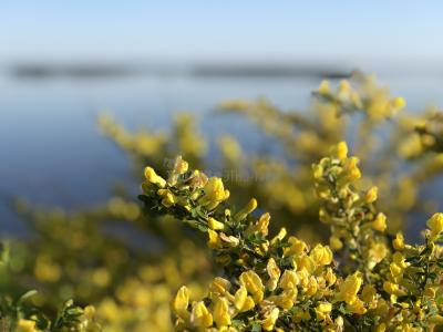 Урочище Голюшурма ( Удмуртская Республика  )