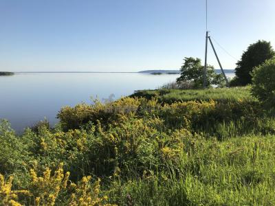 Урочище Голюшурма ( Удмуртская Республика  )