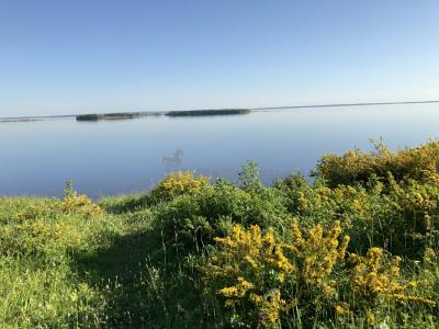 Урочище Голюшурма ( Удмуртская Республика  )