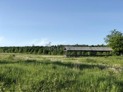 Урочище Голюшурма ( Удмуртская Республика  )