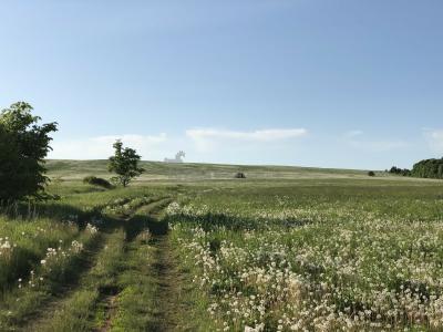 Урочище Голюшурма ( Удмуртская Республика  )