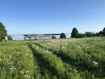 Урочище Голюшурма ( Удмуртская Республика  )