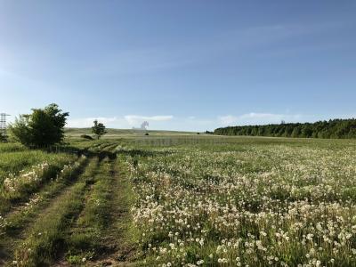 Урочище Голюшурма ( Удмуртская Республика  )