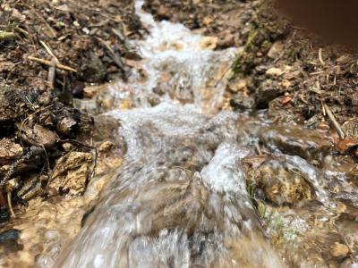 Родники возле деревни Красный Кустарь  ( Удмуртская Республика  )