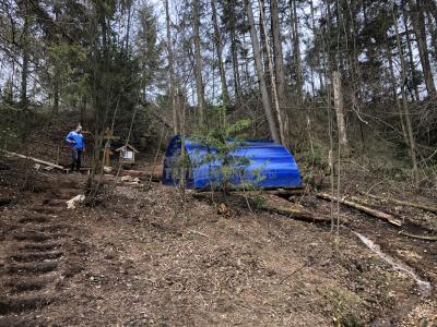 Родники возле деревни Красный Кустарь  ( Удмуртская Республика  )