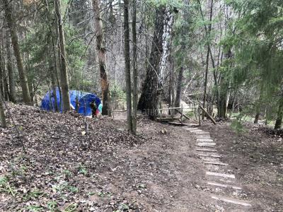 Родники возле деревни Красный Кустарь  ( Удмуртская Республика  )