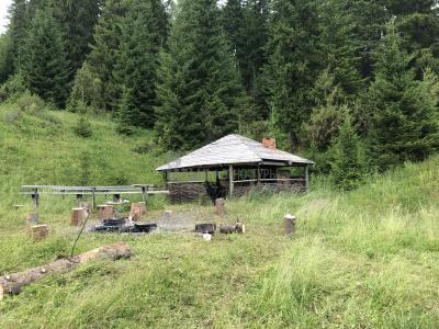 шаманские декорации в Мувыре ( Удмуртская Республика  )