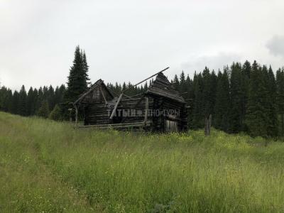 шаманские декорации в Мувыре ( Удмуртская Республика  )