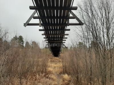 Подвесной мост в деревне Пумси  ( Удмуртская Республика  )