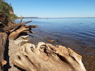 Бухта с.Костоваты  ( Удмуртская Республика  )