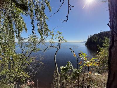 Бывший Костоватовский дом отдыха ( Удмуртская Республика  )