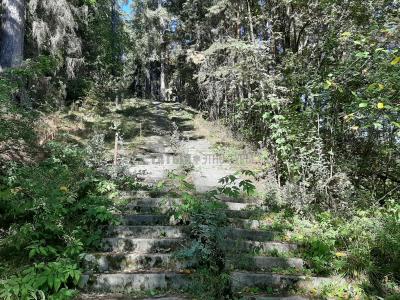 Бывший Костоватовский дом отдыха ( Удмуртская Республика  )